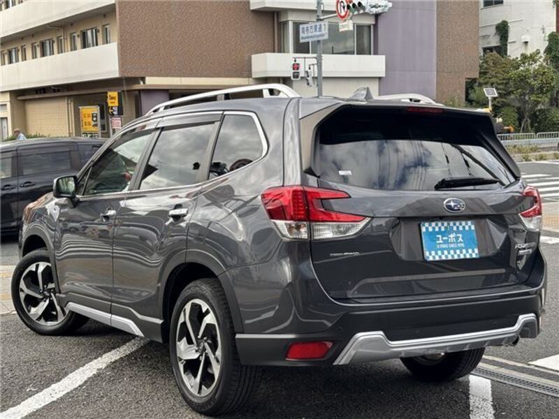 FORESTER