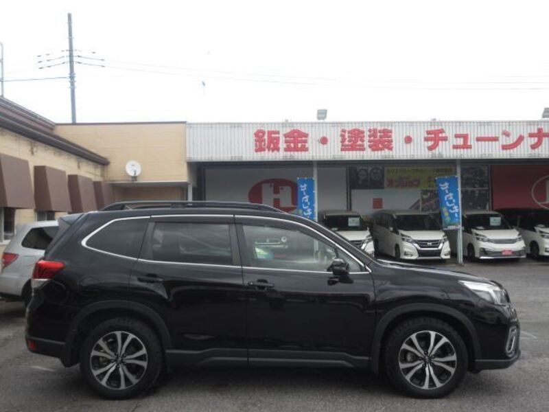 FORESTER
