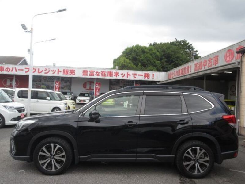 FORESTER