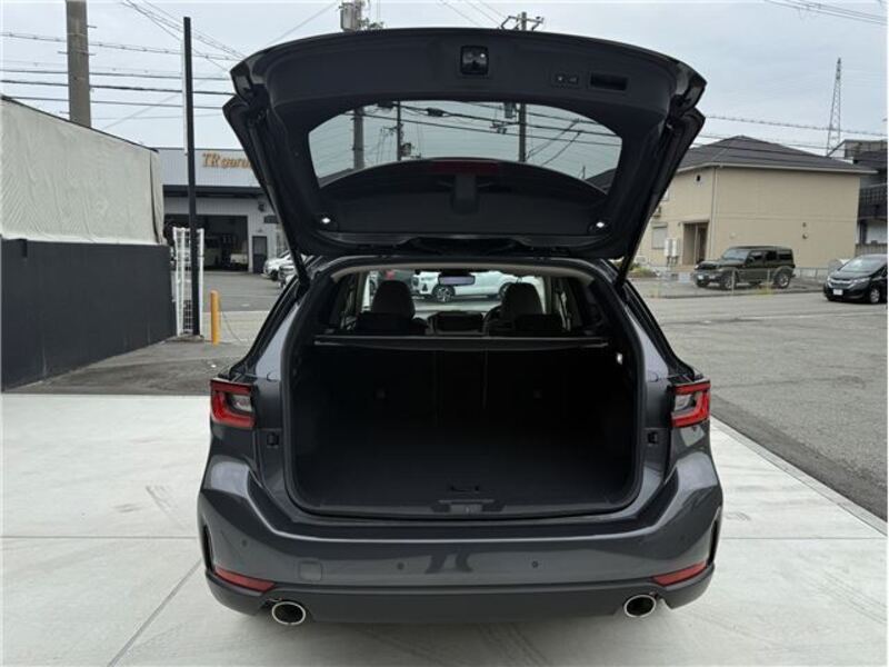 LEVORG