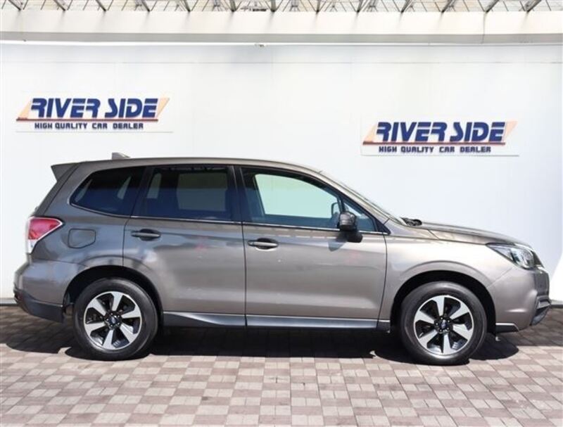 FORESTER