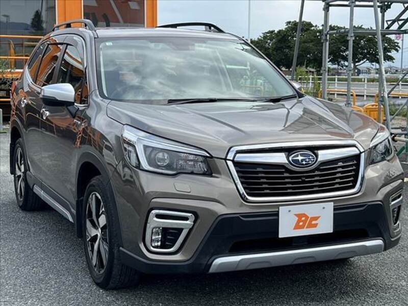 FORESTER