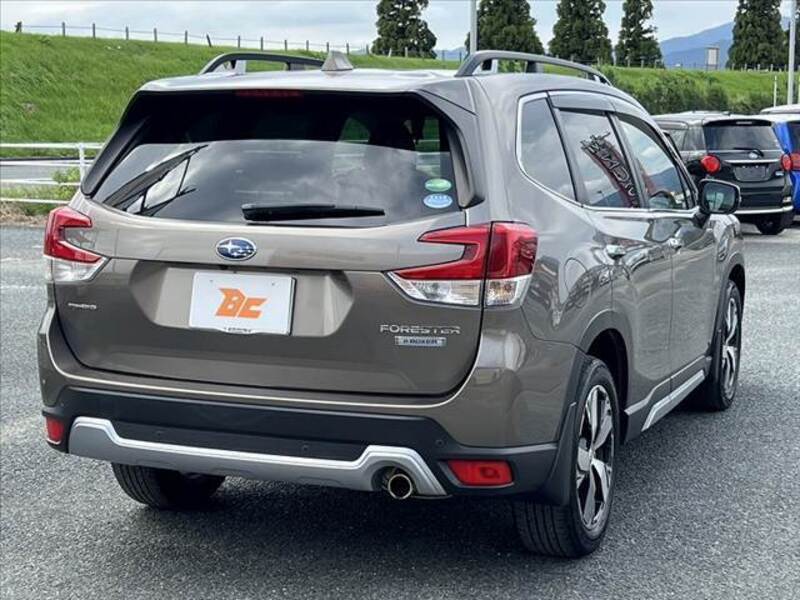 FORESTER