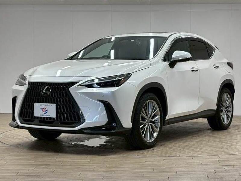 NX