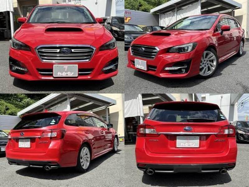 LEVORG