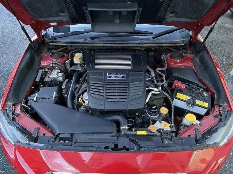 LEVORG