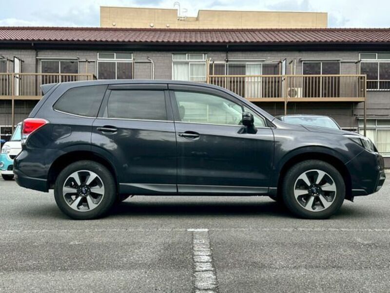 FORESTER