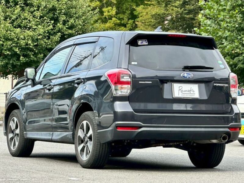 FORESTER