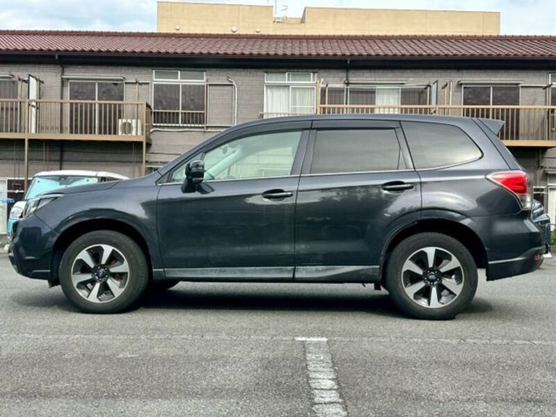 FORESTER