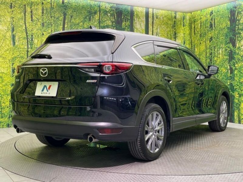 CX-8