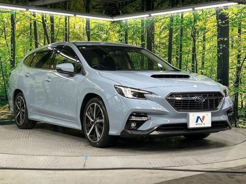 LEVORG