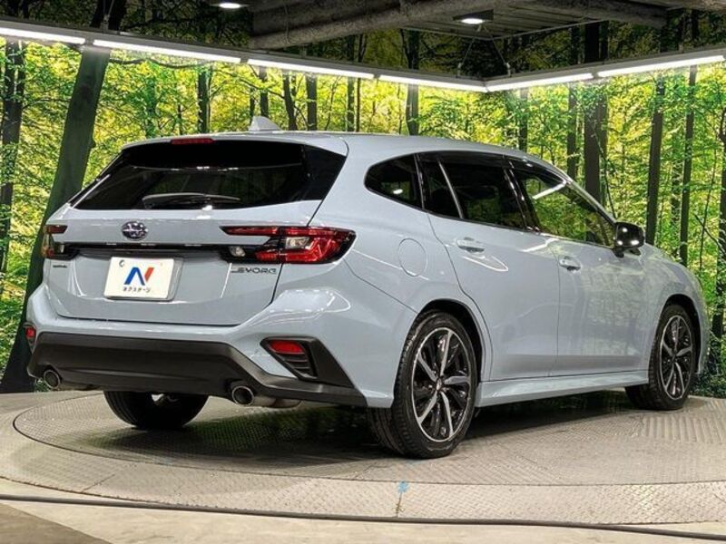 LEVORG