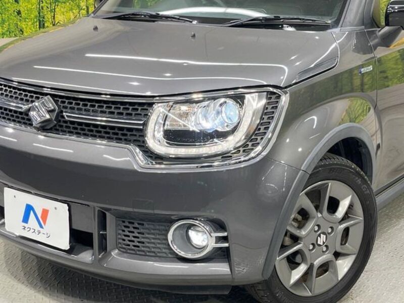 IGNIS