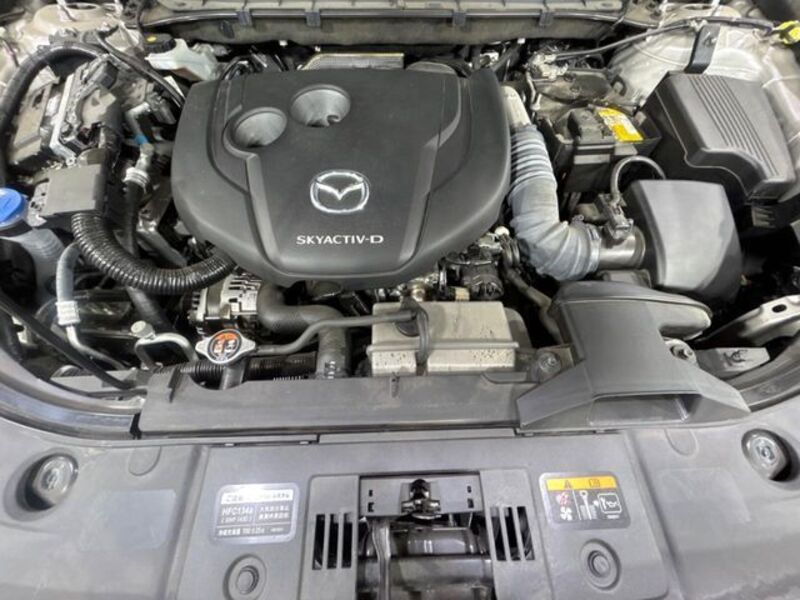 CX-8