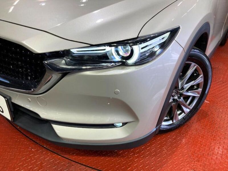 CX-8