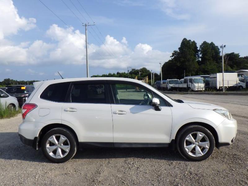 FORESTER