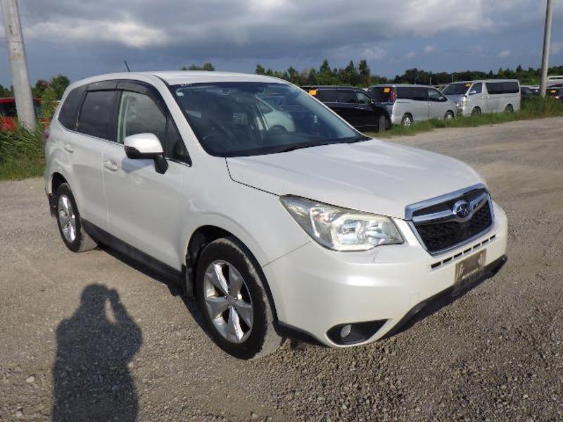 FORESTER-0