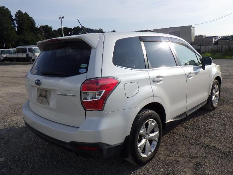 FORESTER