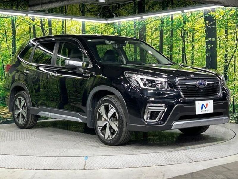 FORESTER