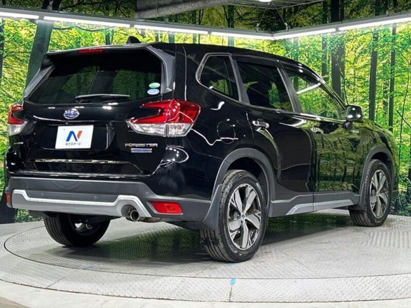 FORESTER