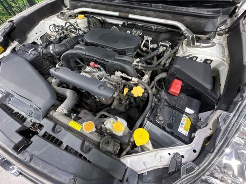 LEGACY OUTBACK