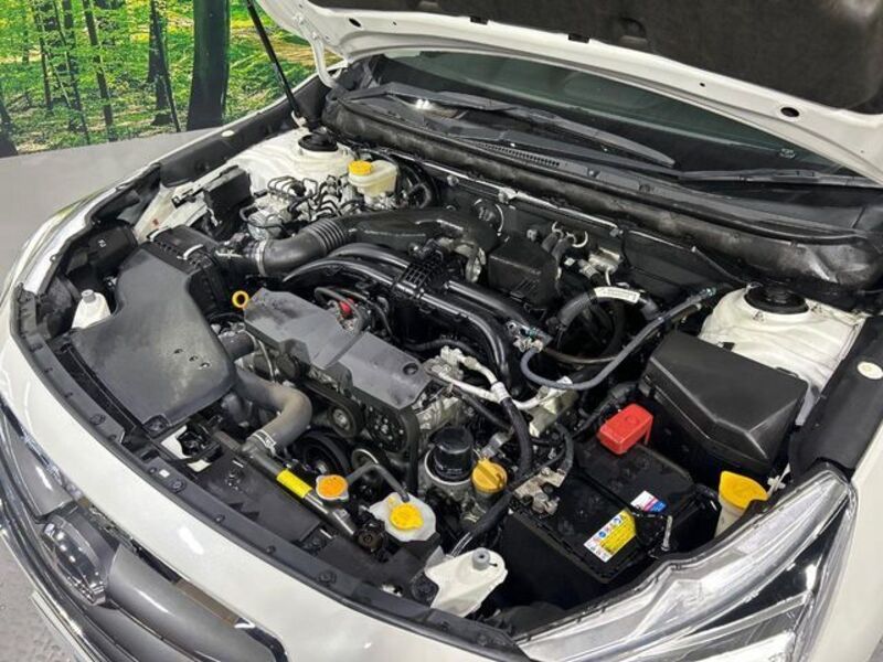 LEGACY B4