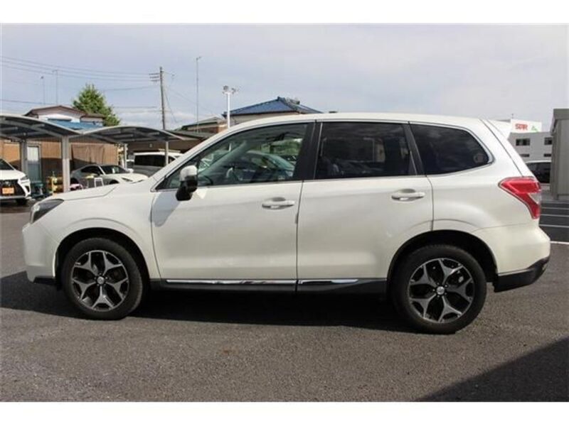 FORESTER