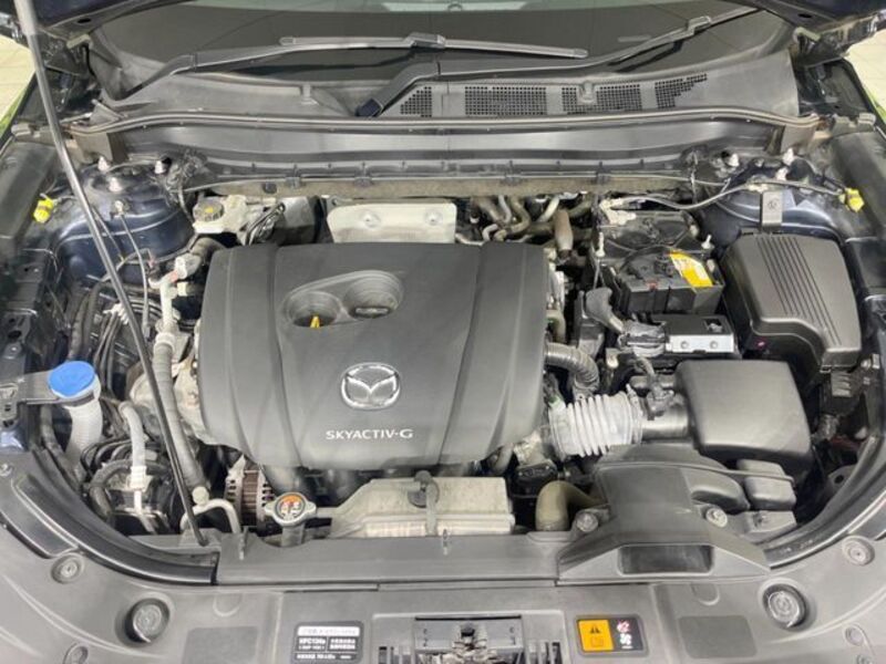 CX-8