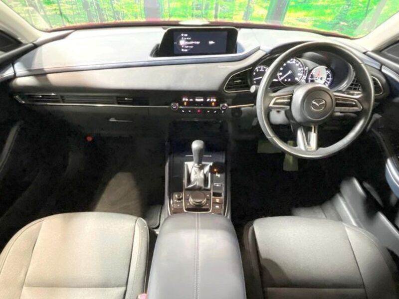 CX-30