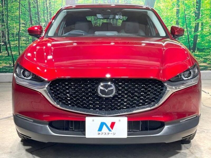 CX-30