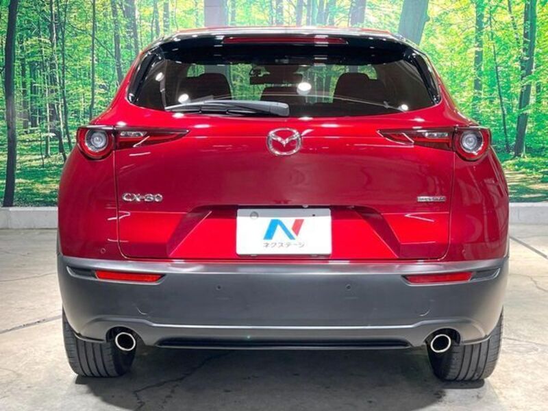 CX-30