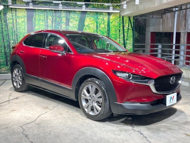 CX-30