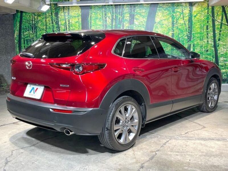 CX-30