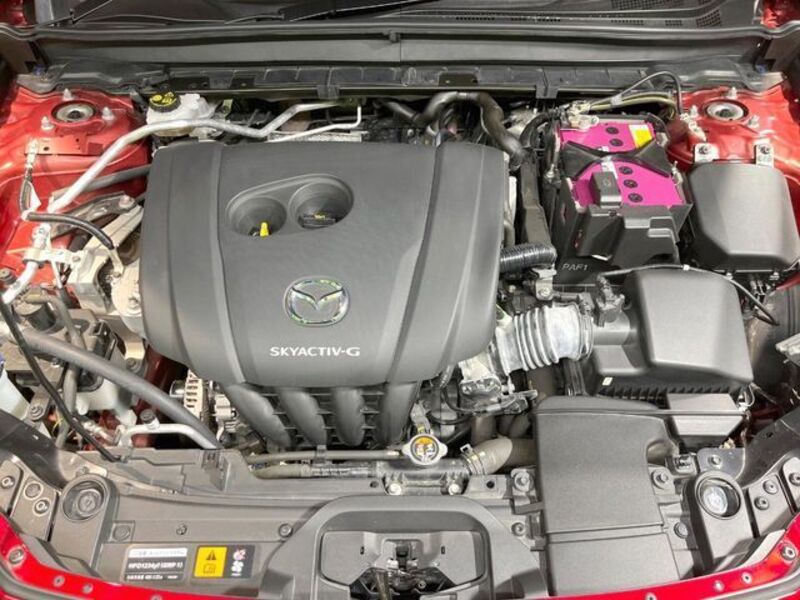 CX-30