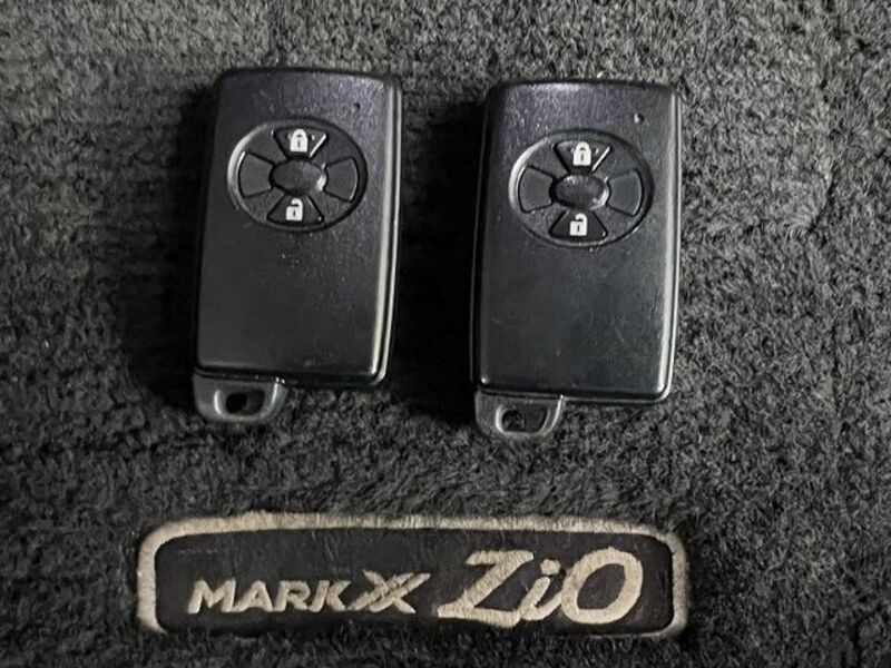 MARK X ZIO