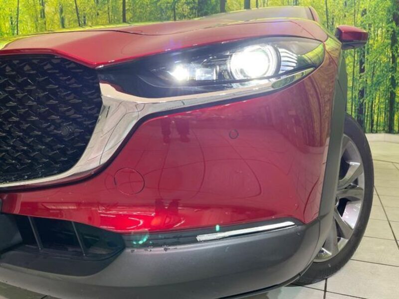 CX-30