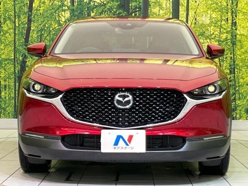 CX-30