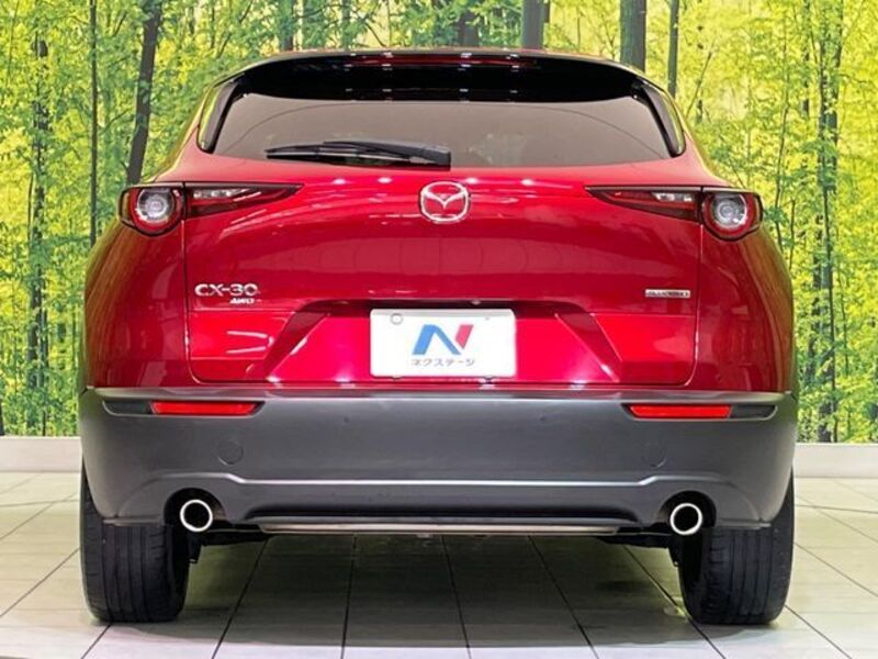 CX-30