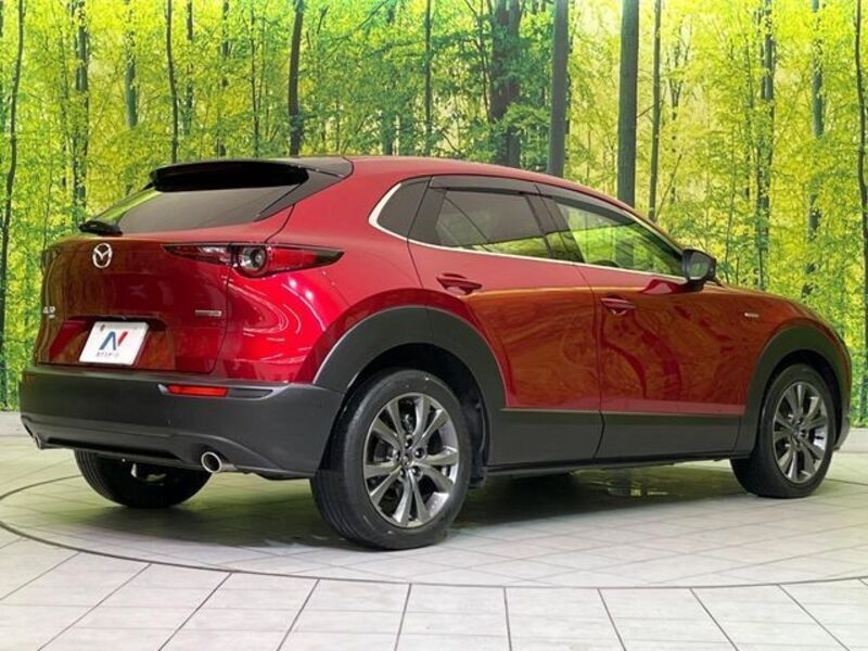 CX-30
