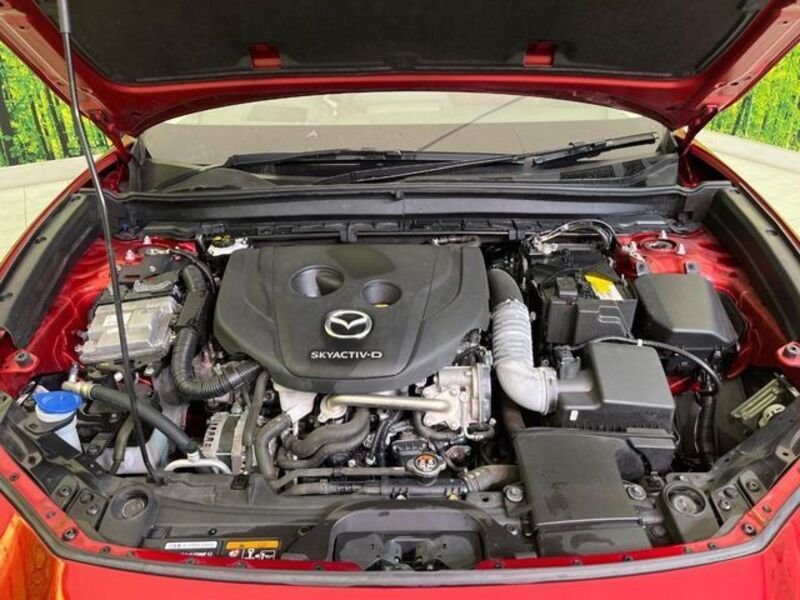 CX-30
