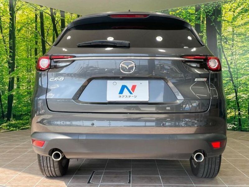 CX-8