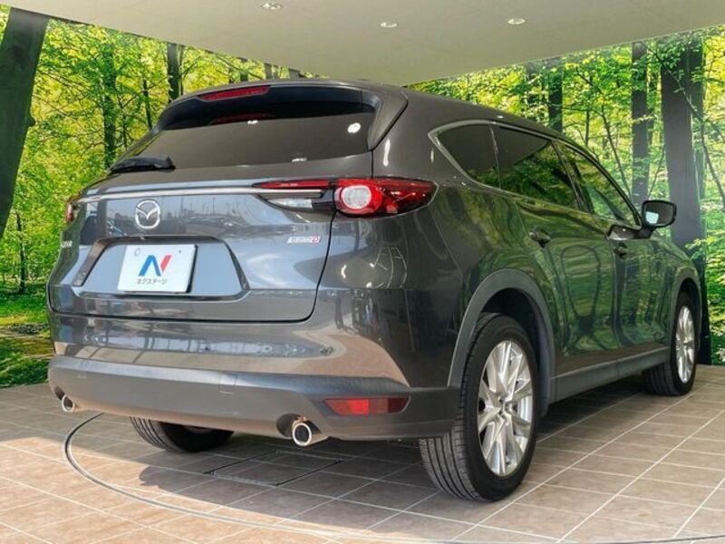 CX-8