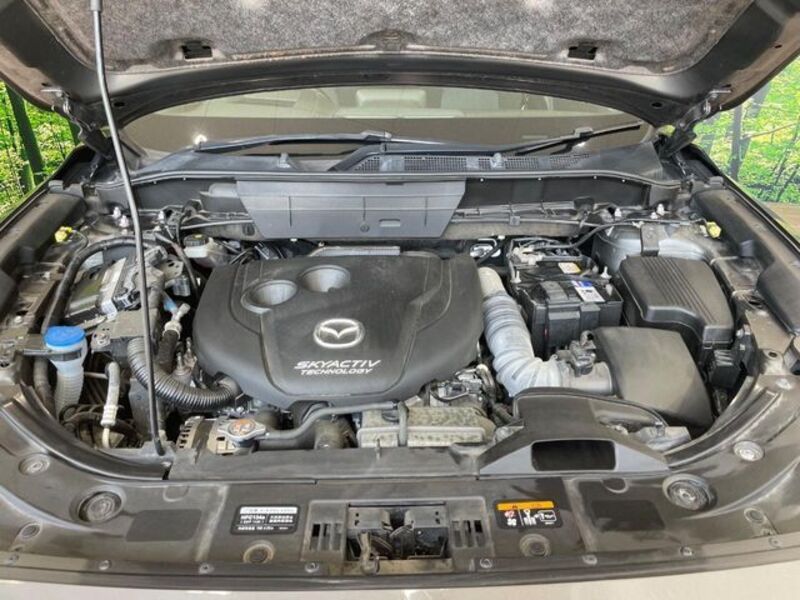 CX-8