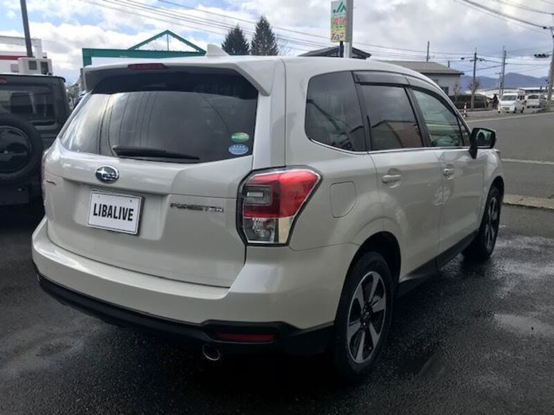 FORESTER