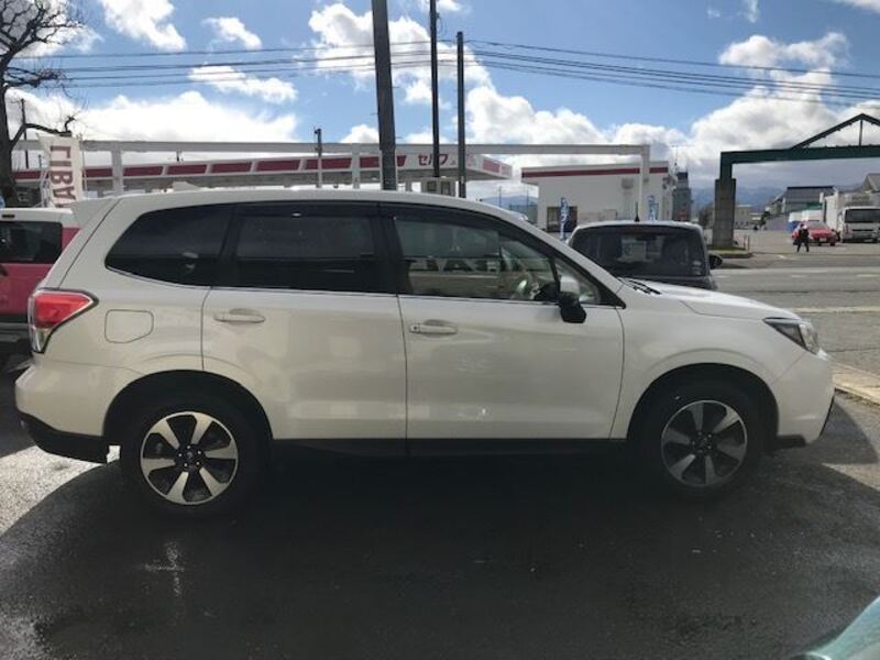 FORESTER