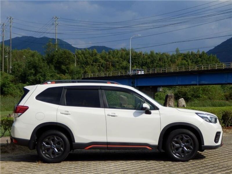FORESTER