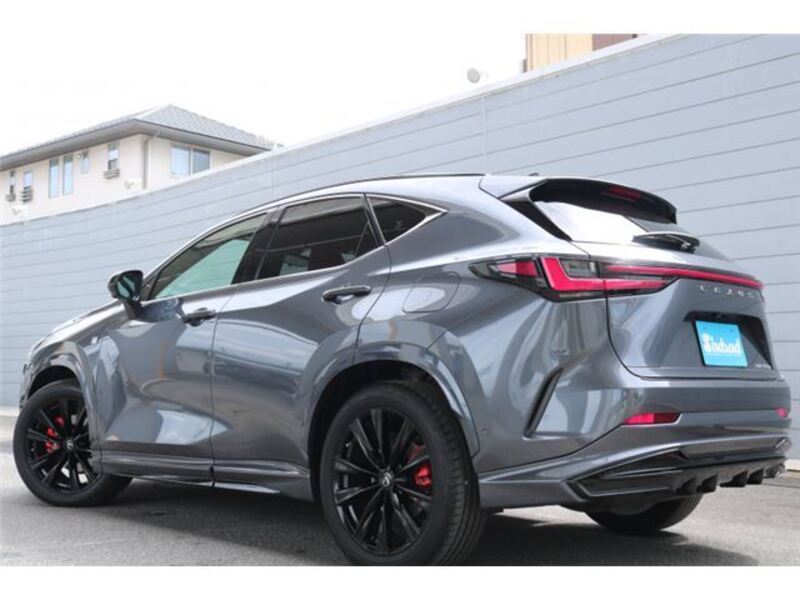 NX