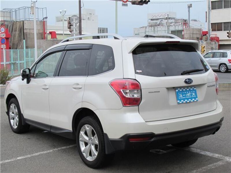 FORESTER