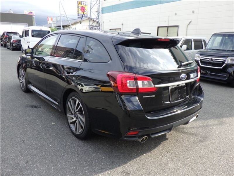 LEVORG