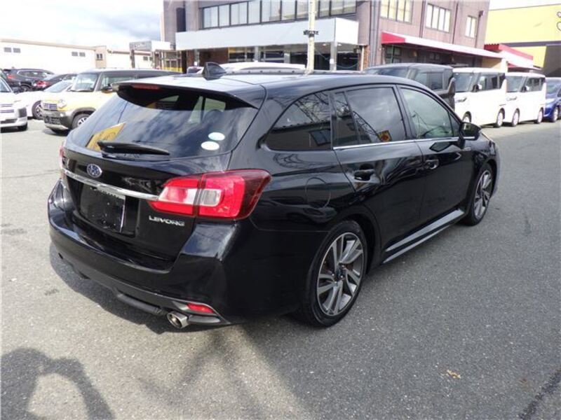 LEVORG